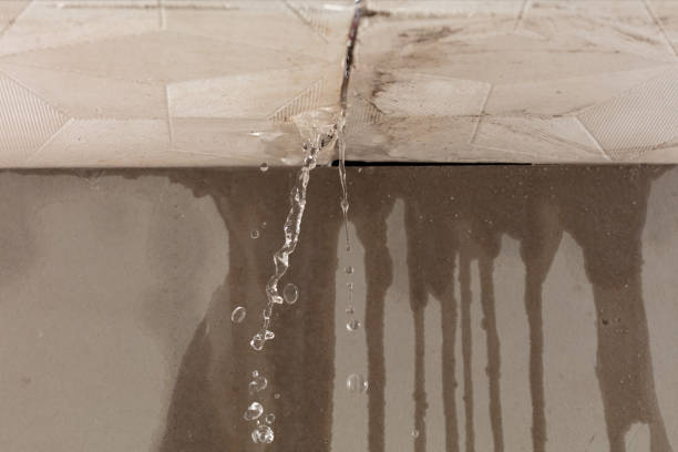 Professional Structural Drying technician working in Taunton, MA